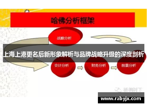 上海上港更名后新形象解析与品牌战略升级的深度剖析